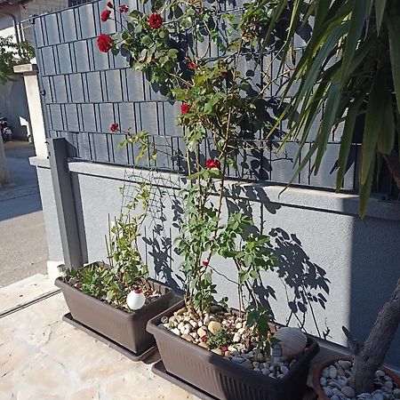 Apartman Lara Zadar Apartman Kültér fotó